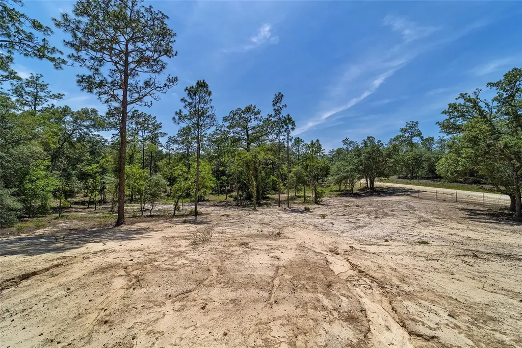 14830 SE 21st Place Morriston FL 32668