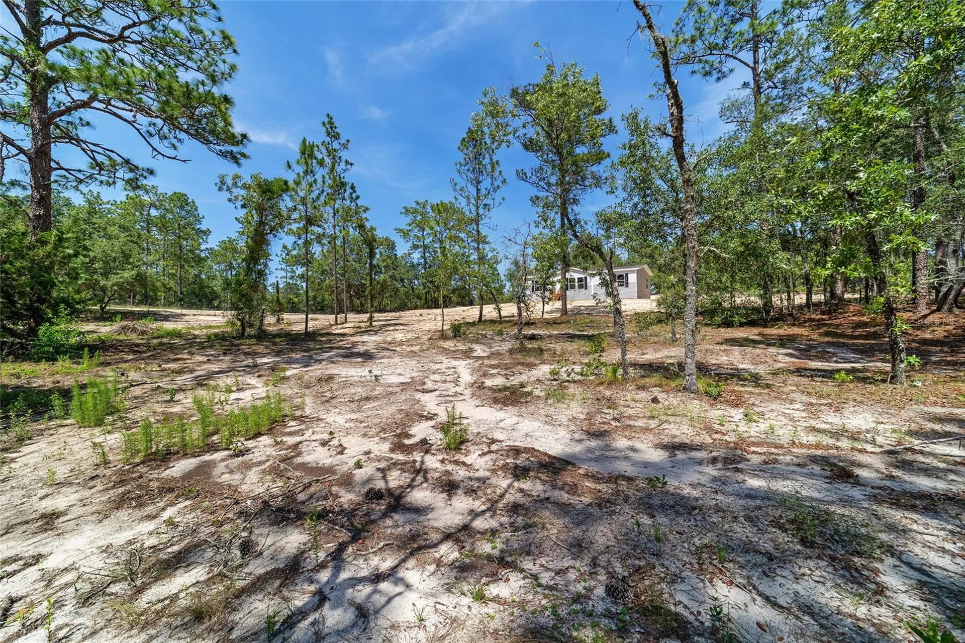 14830 SE 21st Place Morriston FL 32668