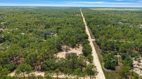 14830 SE 21st Place Morriston FL 32668