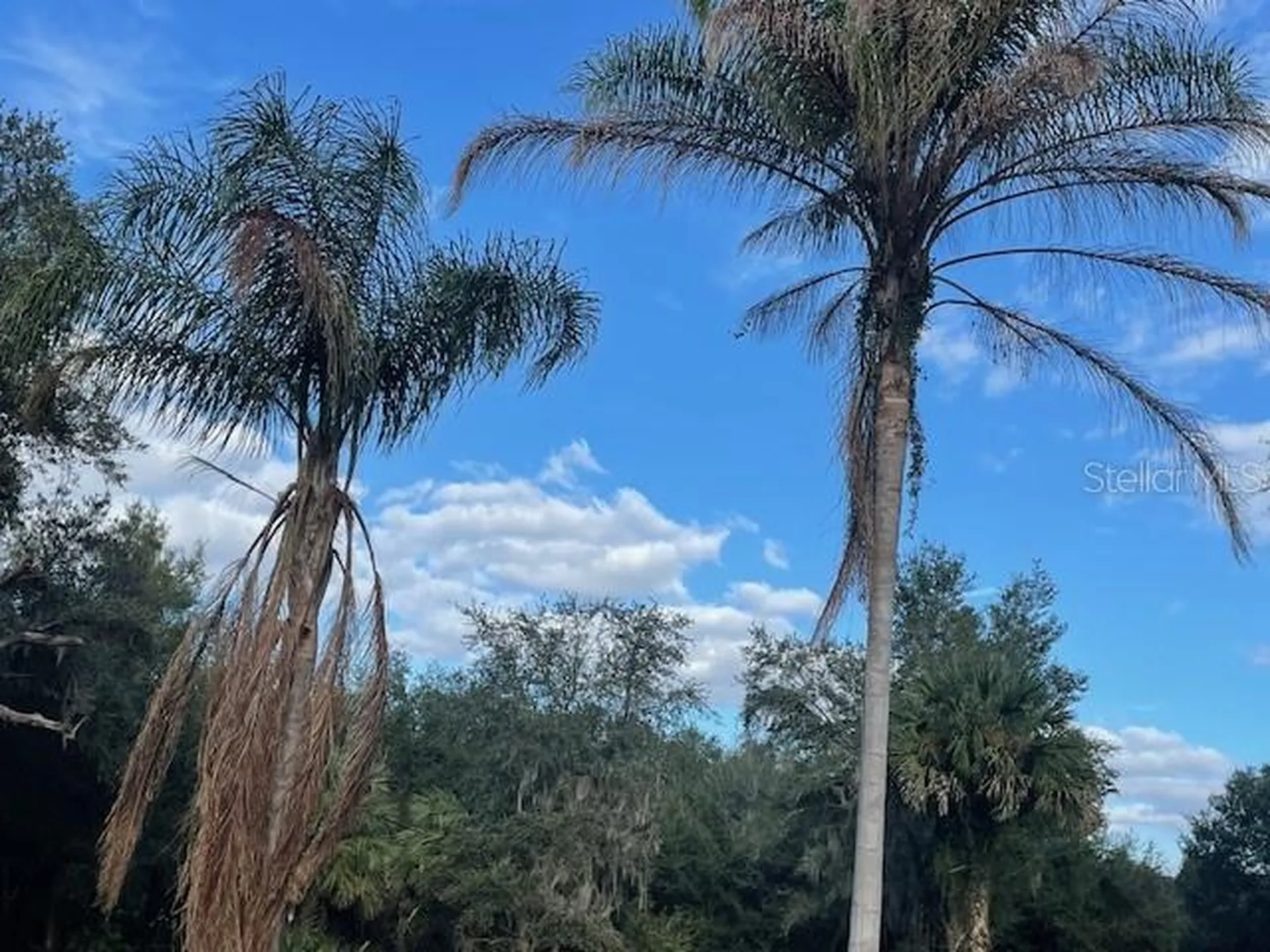 25800 Washington Street Astatula FL 34705