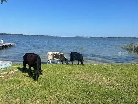 25800 Washington Street Astatula FL 34705