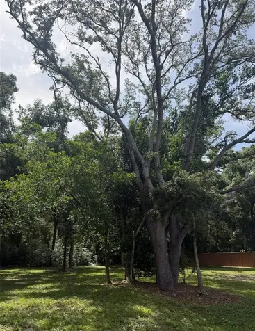 1722 Markham Glen Circle Longwood FL 32779