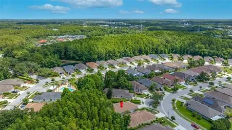 7740 Craighurst Loop Trinity FL 34655