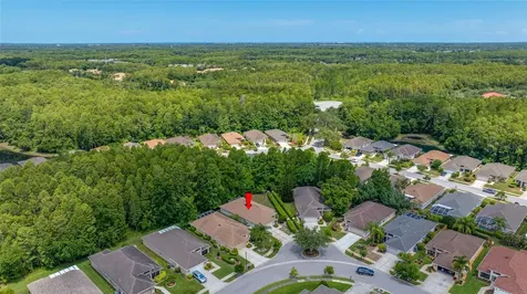 7740 Craighurst Loop Trinity FL 34655