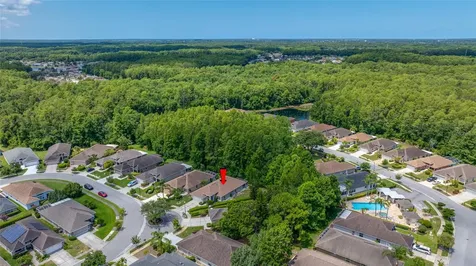 7740 Craighurst Loop Trinity FL 34655