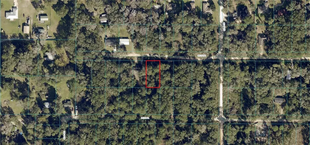 SE 130th Place Belleview FL 34420