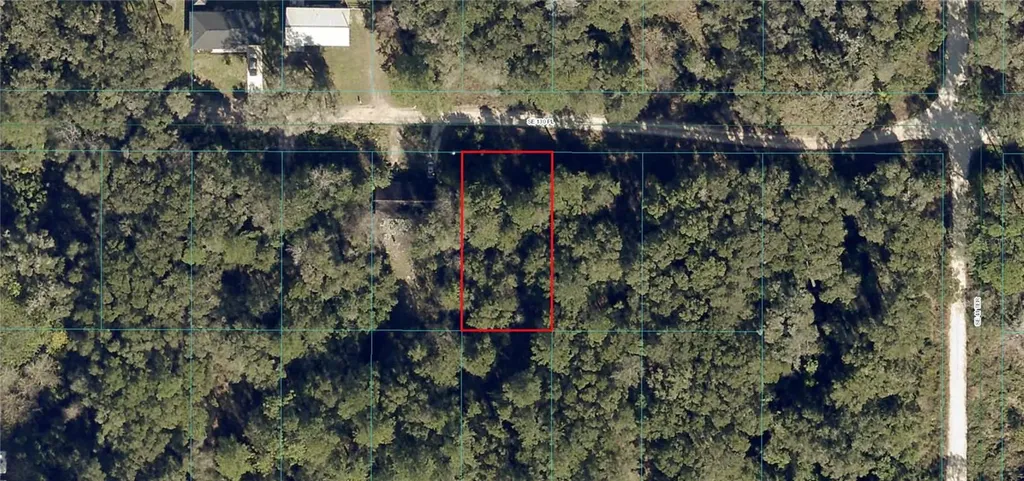 SE 130th Place Belleview FL 34420