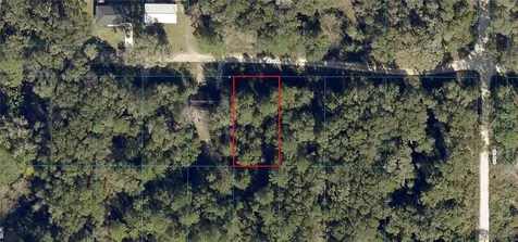 SE 130th Place Belleview FL 34420
