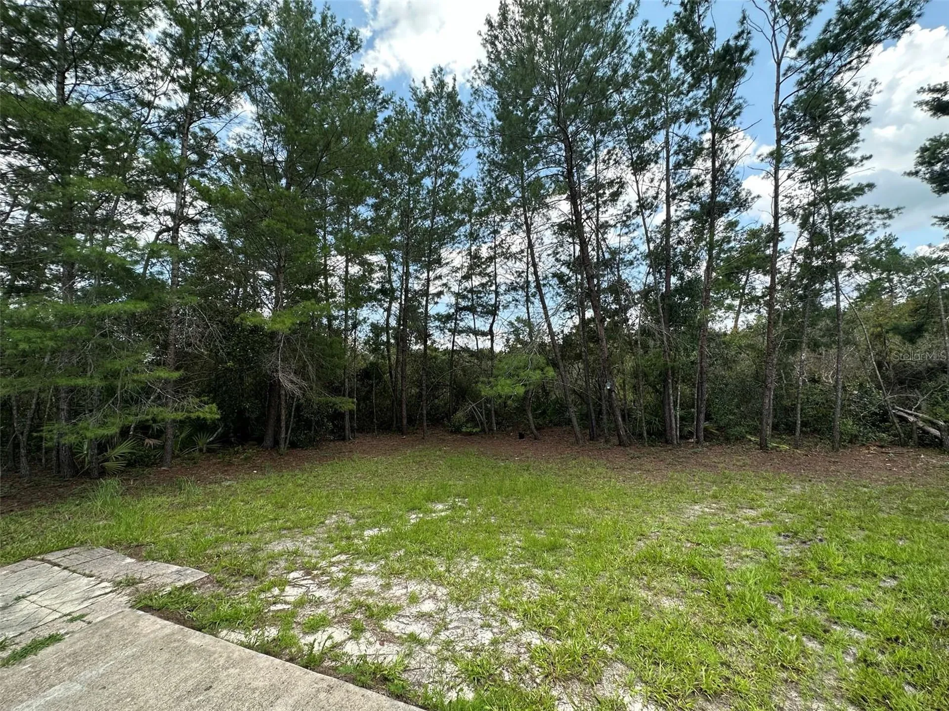 1230 Silverdale Street Deltona FL 32725