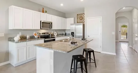 32202 Turtle Grace Loop Wesley Chapel FL 33545