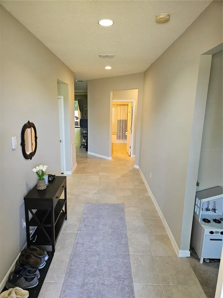 1201 Custer Bayou Street Ruskin FL 33570