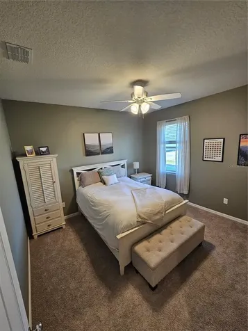 1201 Custer Bayou Street Ruskin FL 33570
