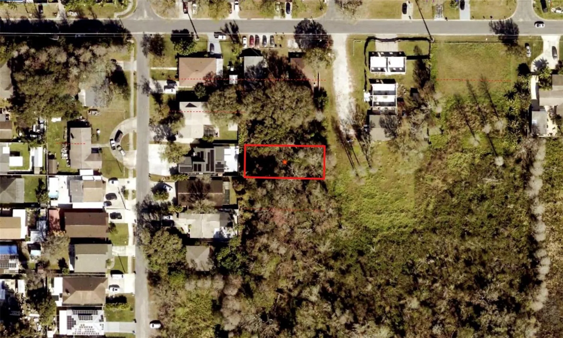 Blossom Avenue Tampa FL 33614