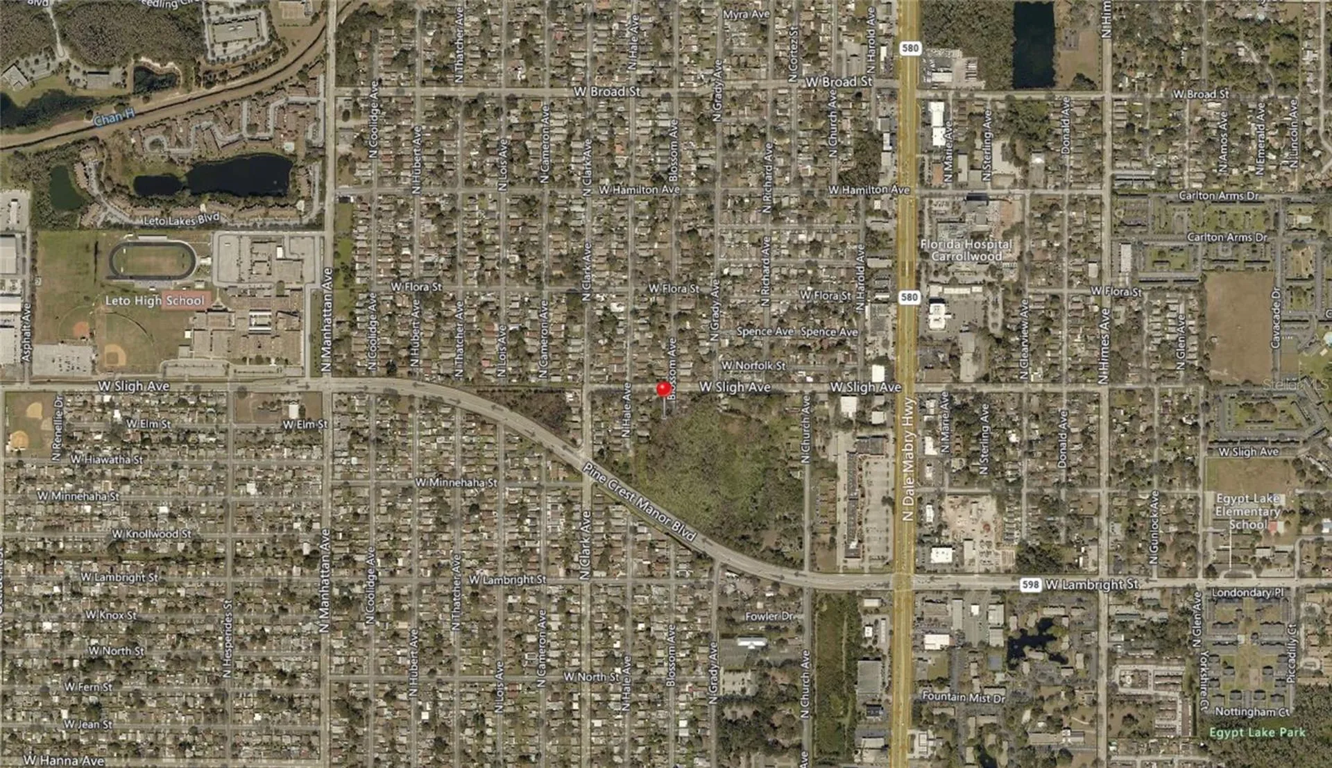 Blossom Avenue Tampa FL 33614