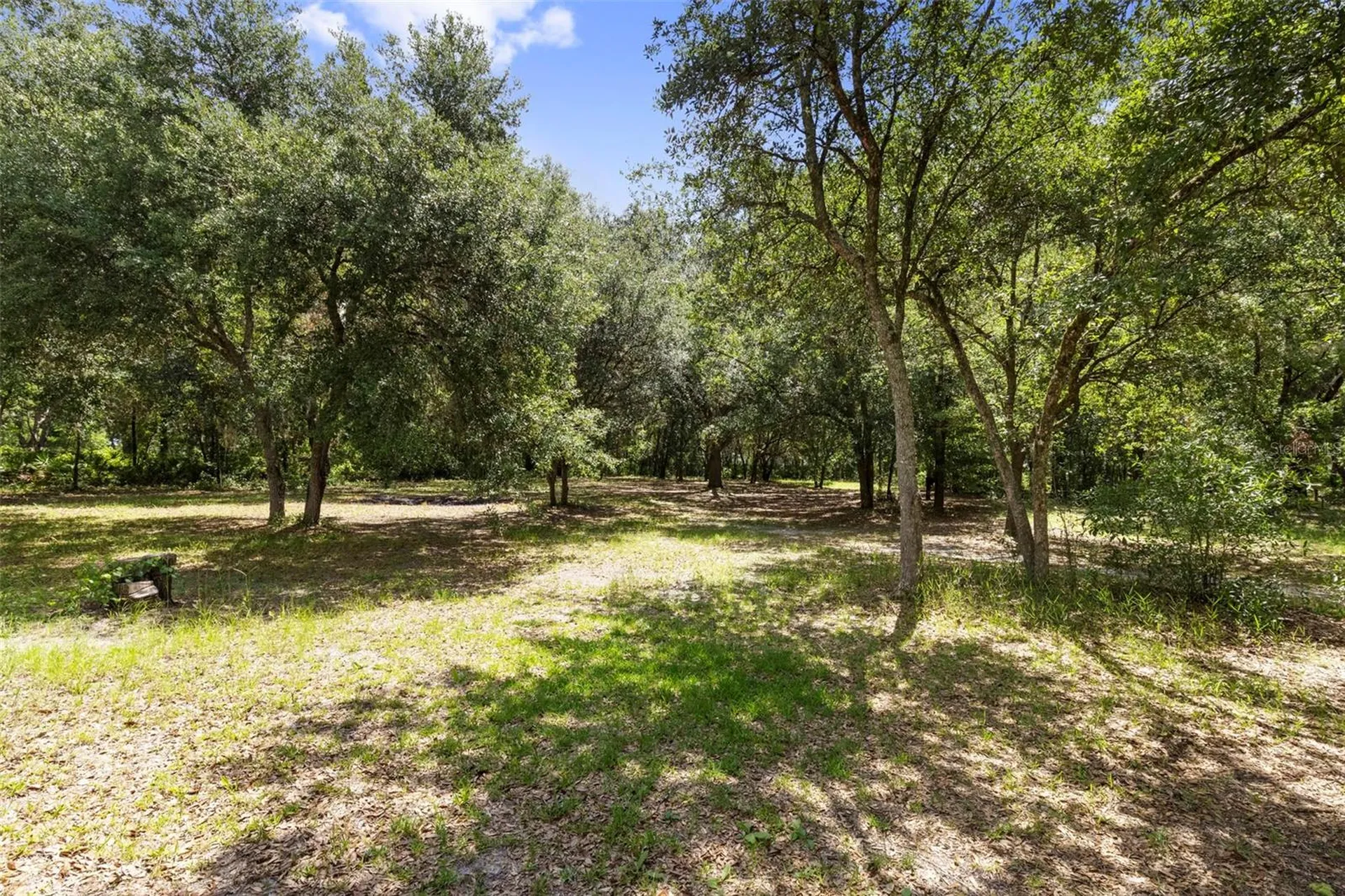 6010 Frontier Drive Zephyrhills FL 33540