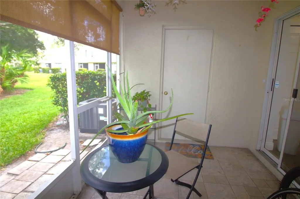 12369 Berkeley Square Drive Tampa FL 33626