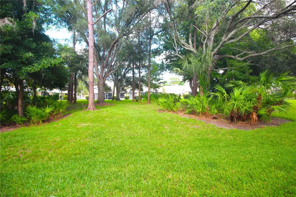 12369 Berkeley Square Drive Tampa FL 33626