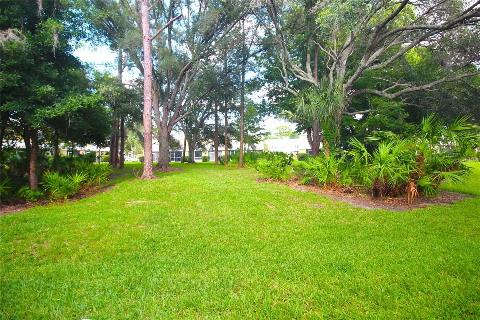 12369 Berkeley Square Drive Tampa FL 33626
