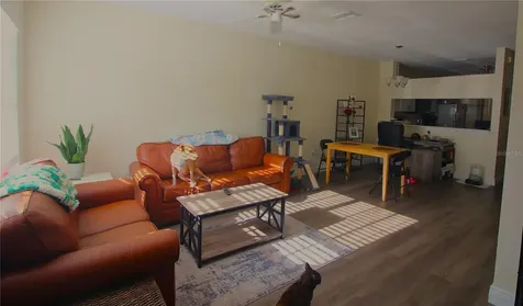 12369 Berkeley Square Drive Tampa FL 33626
