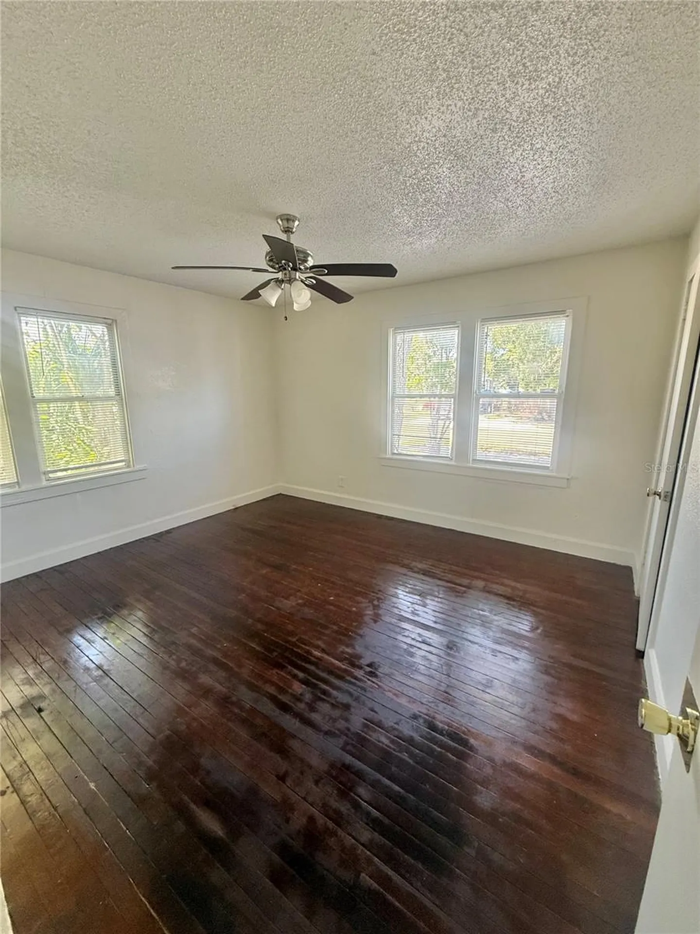 1900 19th Street S St Petersburg FL 33712