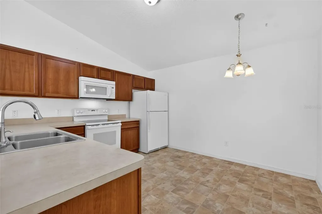 3419 Carrabelle Court The Villages FL 32163