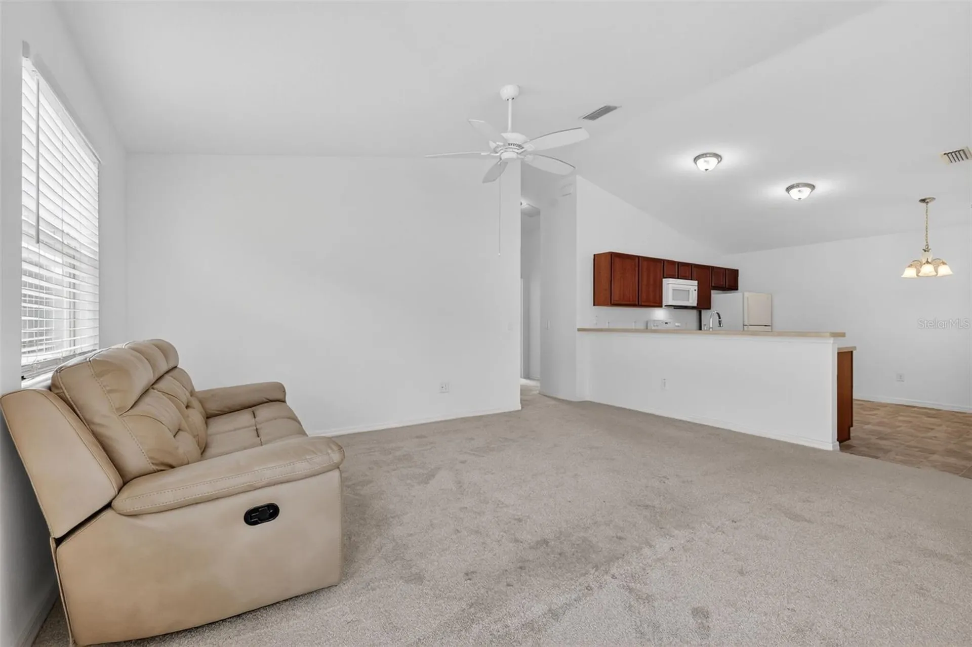 3419 Carrabelle Court The Villages FL 32163