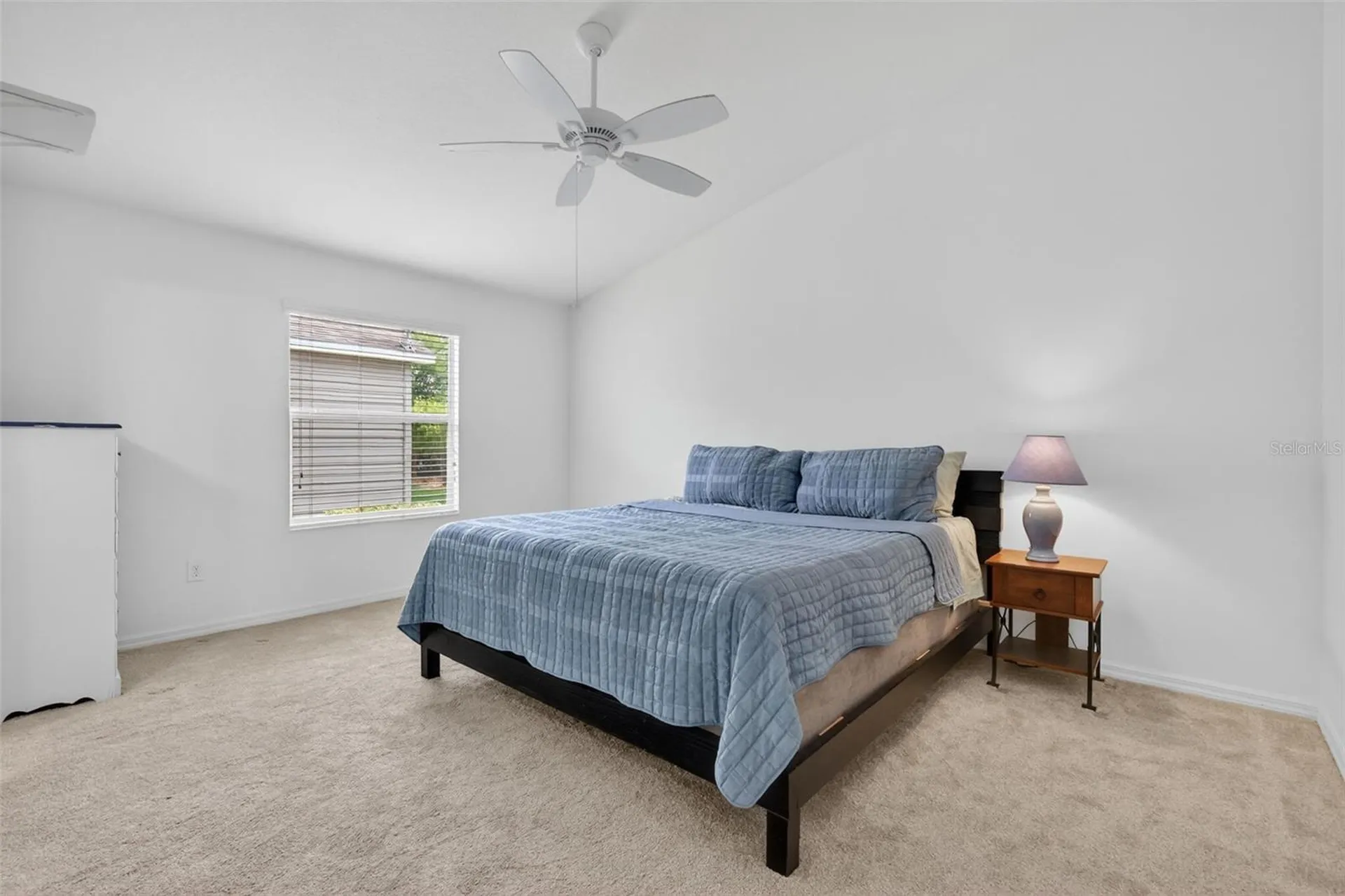 3419 Carrabelle Court The Villages FL 32163