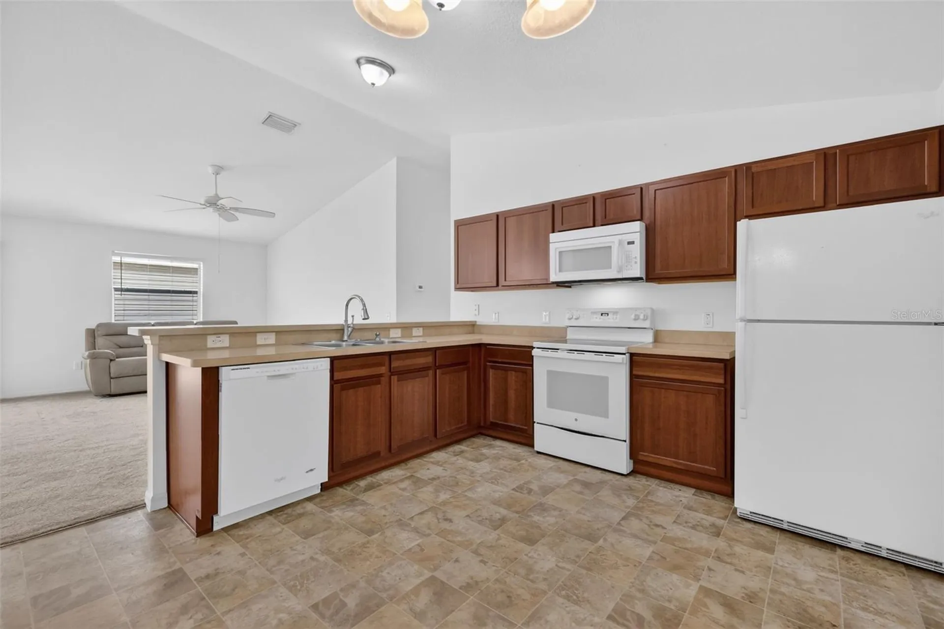 3419 Carrabelle Court The Villages FL 32163