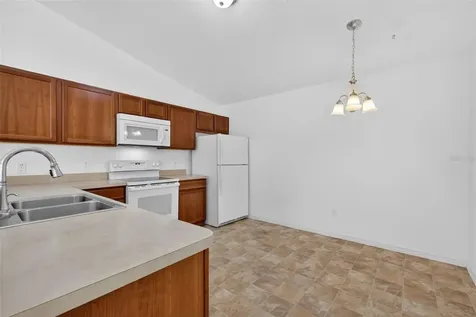 3419 Carrabelle Court The Villages FL 32163