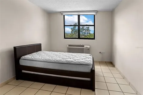 24A Lopategui Guaynabo PR 00969