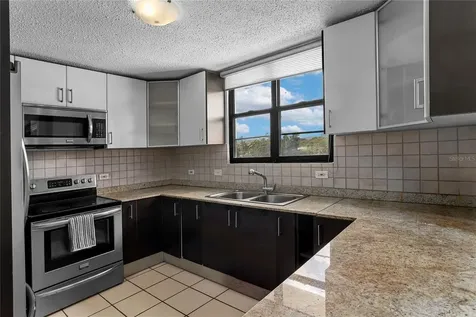 24A Lopategui Guaynabo PR 00969