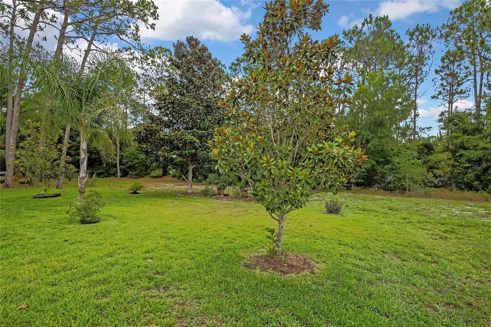 7052 Sparkling Creek Court Spring Hill FL 34606