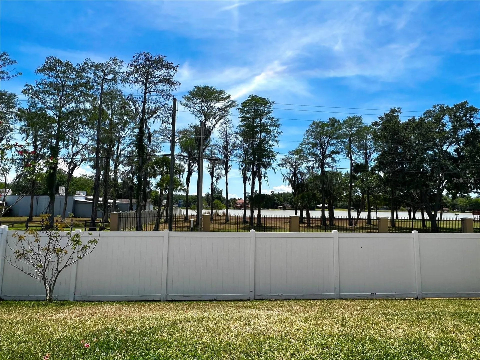 8848 Cameron Crest Drive Tampa FL 33626