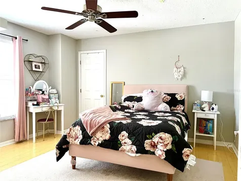 8848 Cameron Crest Drive Tampa FL 33626