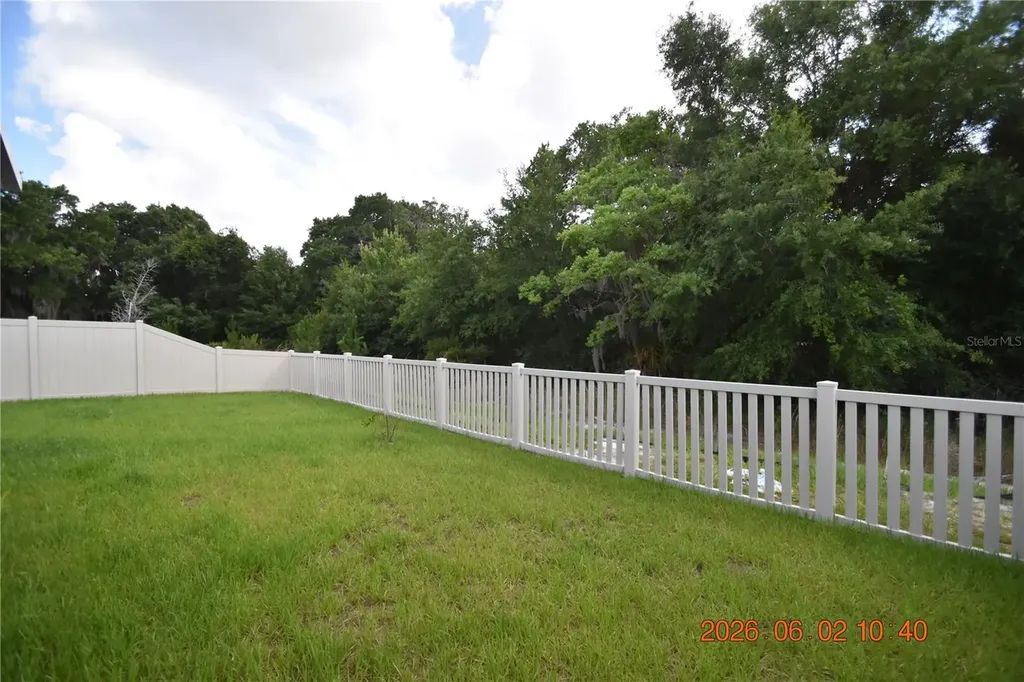 20076 Azul Marble Loop Land O Lakes FL 34638