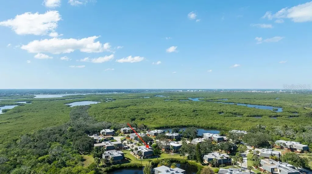113 Cedar Dunes Drive New Smyrna Beach FL 32169