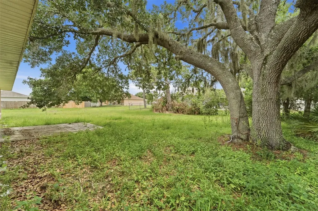 816 Adour Drive Kissimmee FL 34759