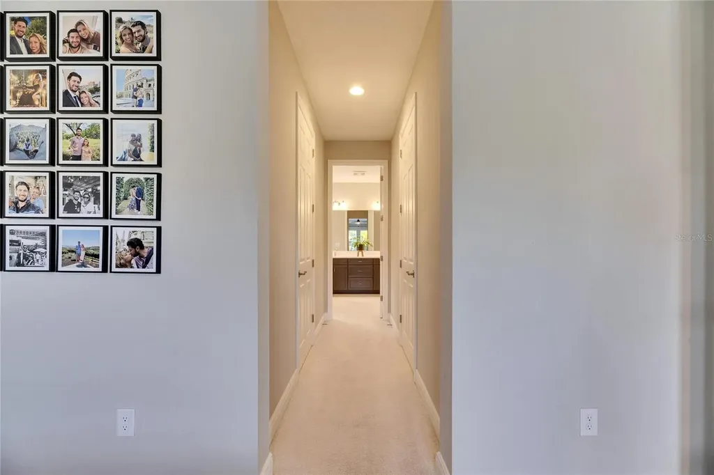 5612 Limelight Drive Apollo Beach FL 33572