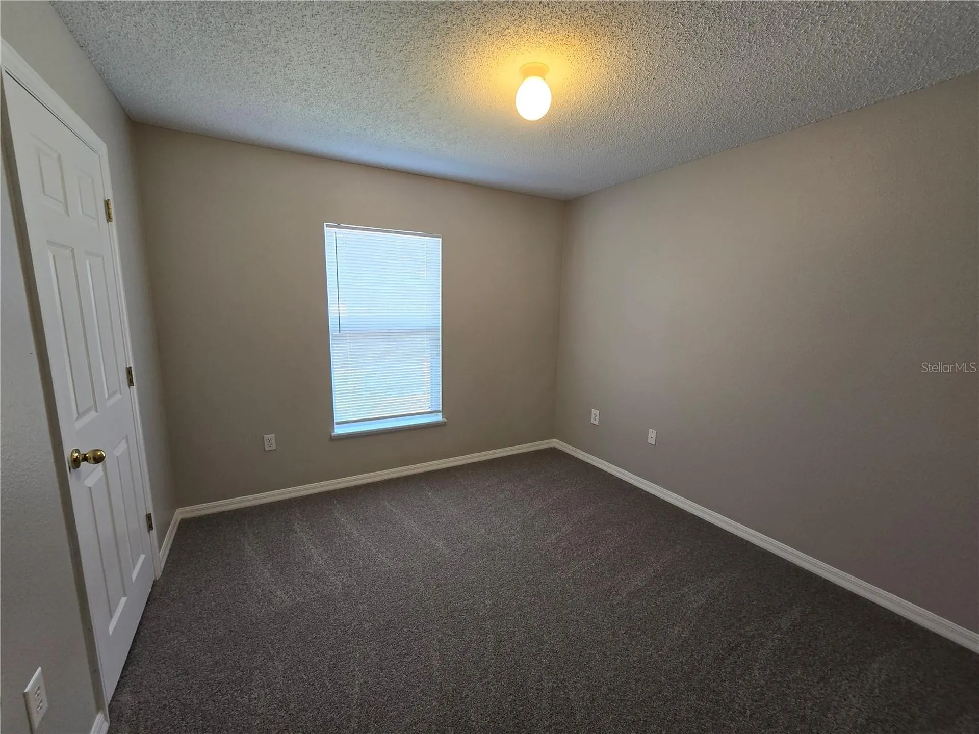 13404 Copper Head Drive Riverview FL 33569