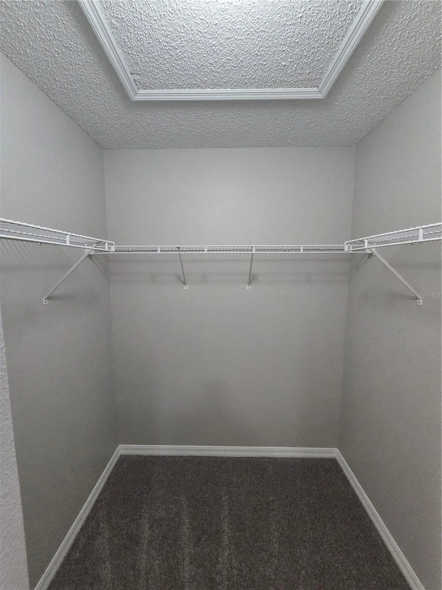 13404 Copper Head Drive Riverview FL 33569