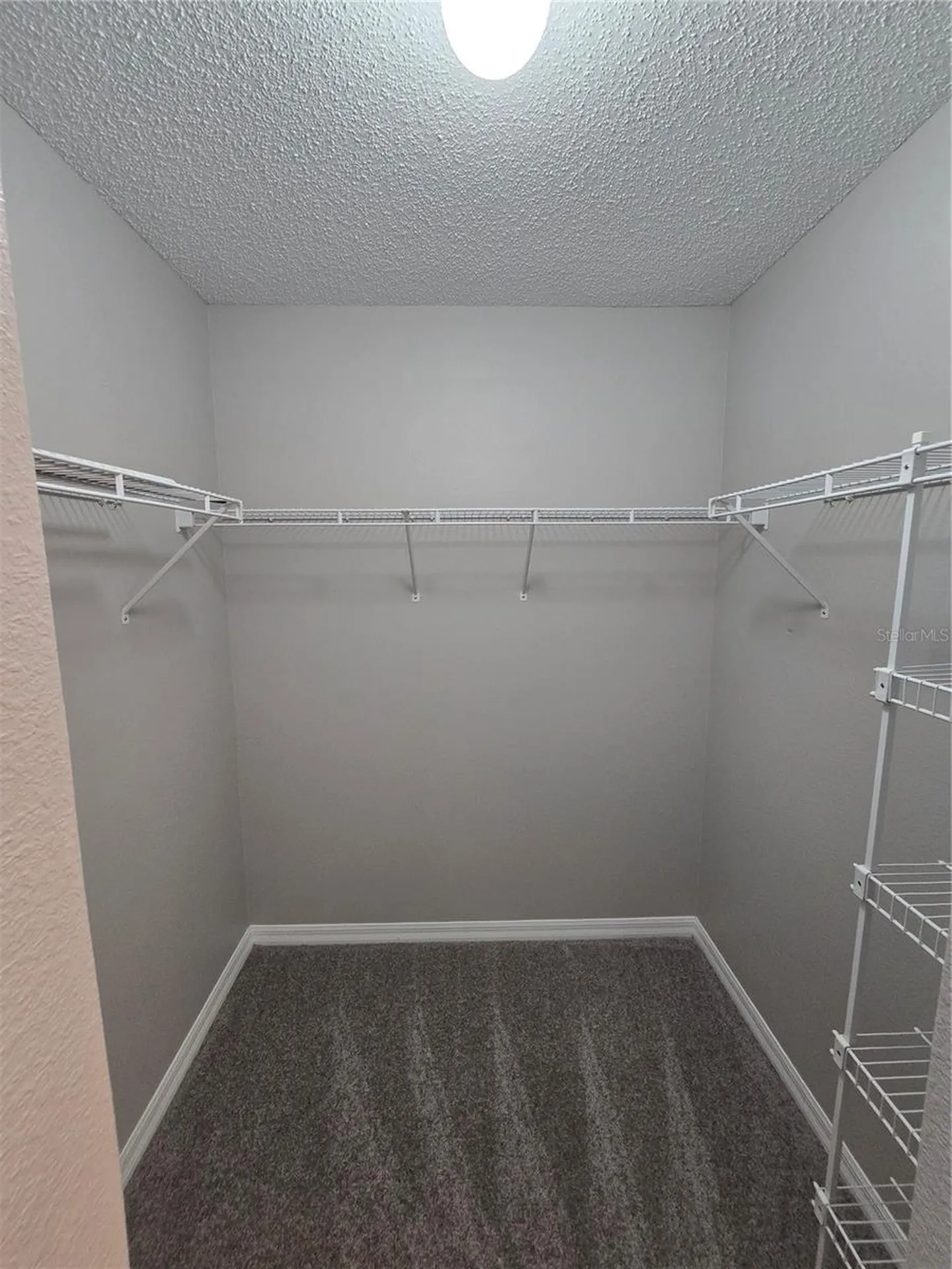 13404 Copper Head Drive Riverview FL 33569