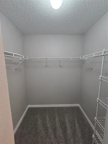 13404 Copper Head Drive Riverview FL 33569
