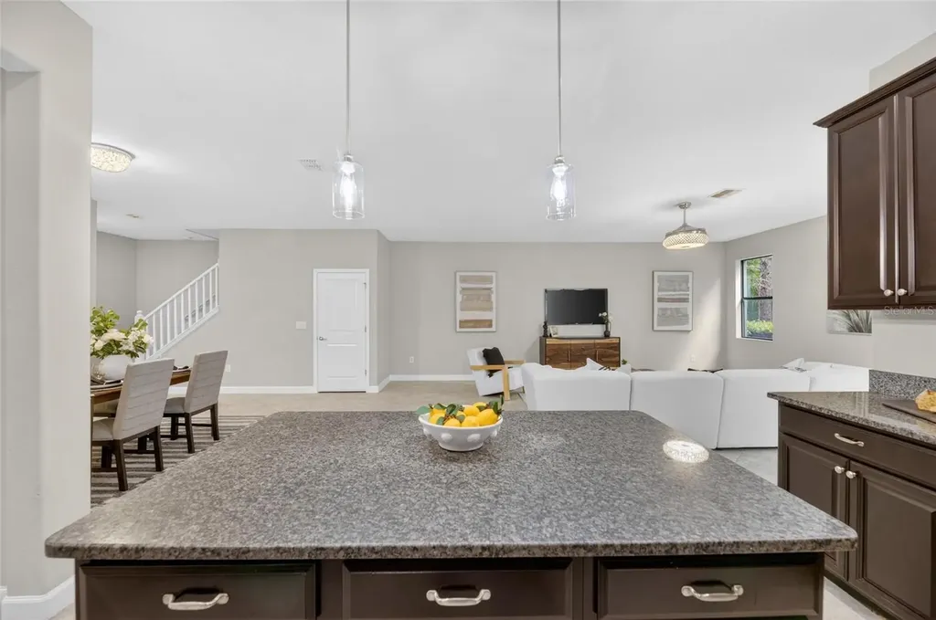 28511 Pleasant Bay Loop Wesley Chapel FL 33543