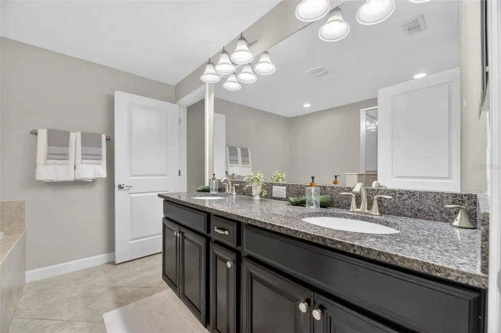 28511 Pleasant Bay Loop Wesley Chapel FL 33543