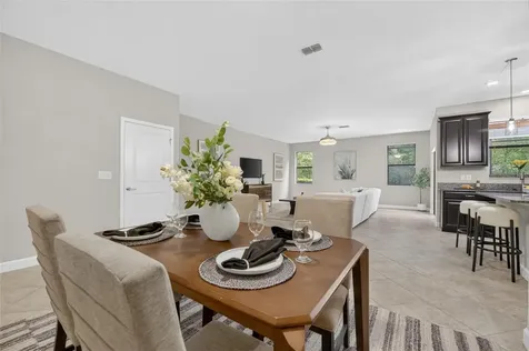 28511 Pleasant Bay Loop Wesley Chapel FL 33543