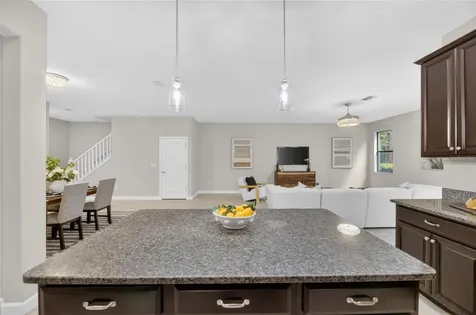 28511 Pleasant Bay Loop Wesley Chapel FL 33543