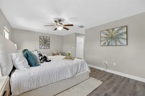 28511 Pleasant Bay Loop Wesley Chapel FL 33543