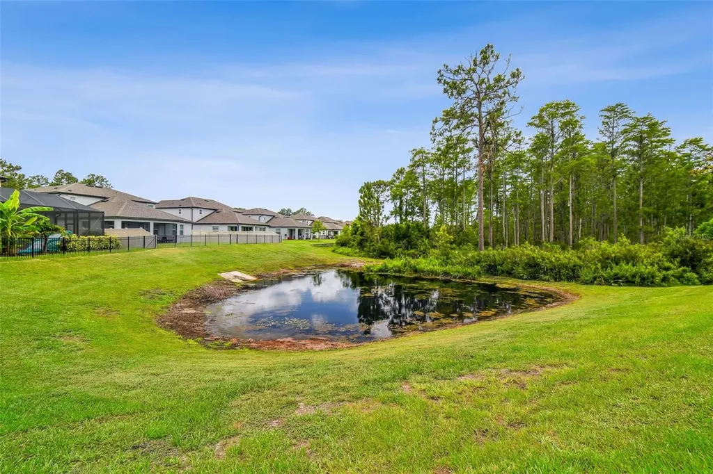 4215 Tatum Loop Odessa FL 33556