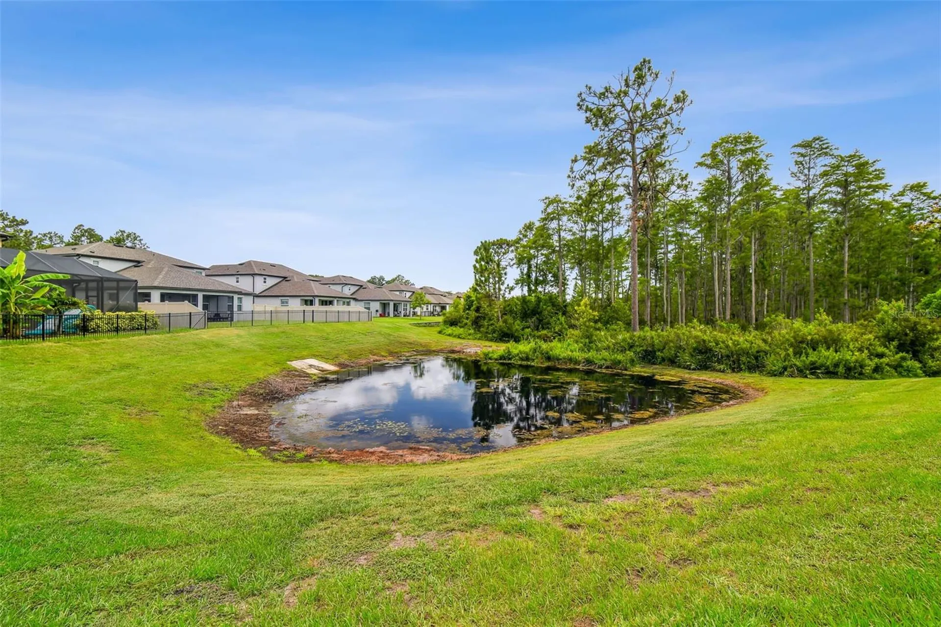 4215 Tatum Loop Odessa FL 33556
