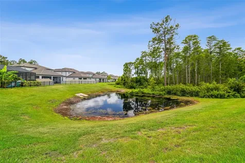 4215 Tatum Loop Odessa FL 33556